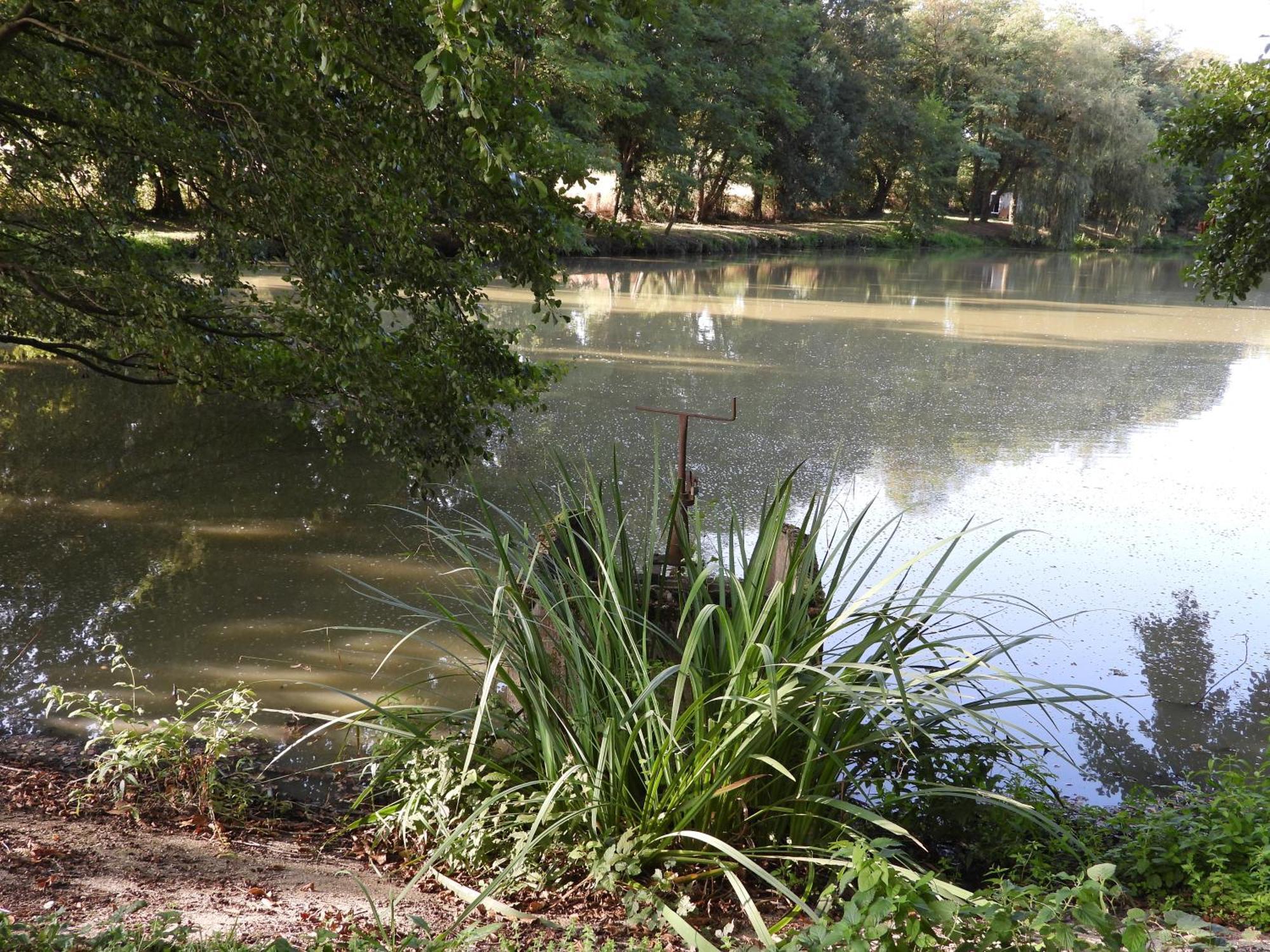 Le Hameau De La Closerie Flere-la-Riviere 外观 照片