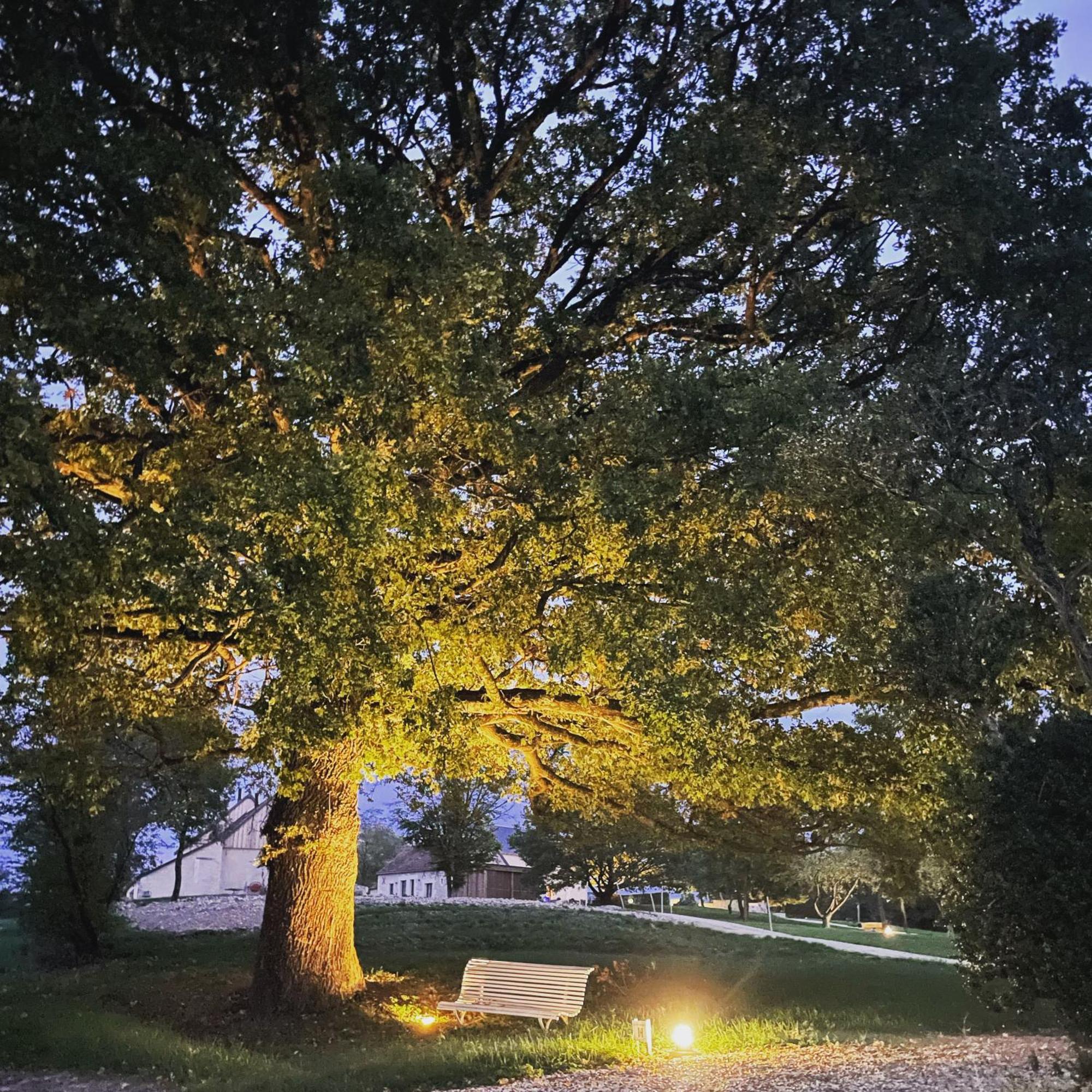 Le Hameau De La Closerie Flere-la-Riviere 外观 照片